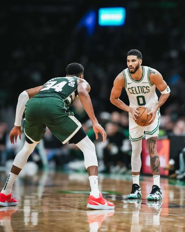 美国vs比利时无插件直播_美国vs比利时在线直播_美国vs比利时直播在线观看